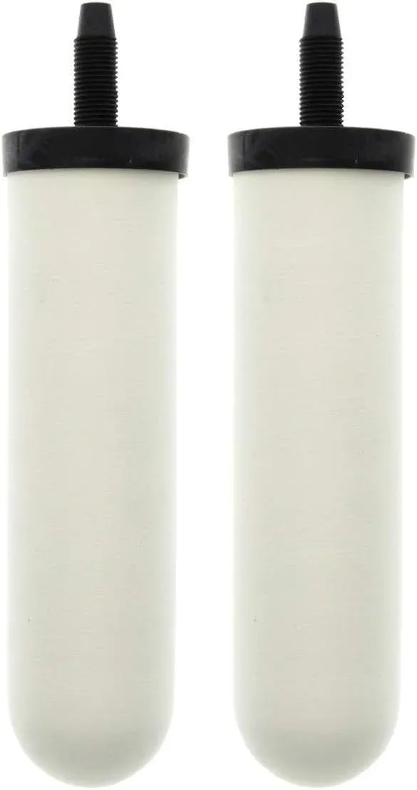 Doulton ATC Super Sterasyl Ceramic Water Filter for Gravity Systems (2-Pack)